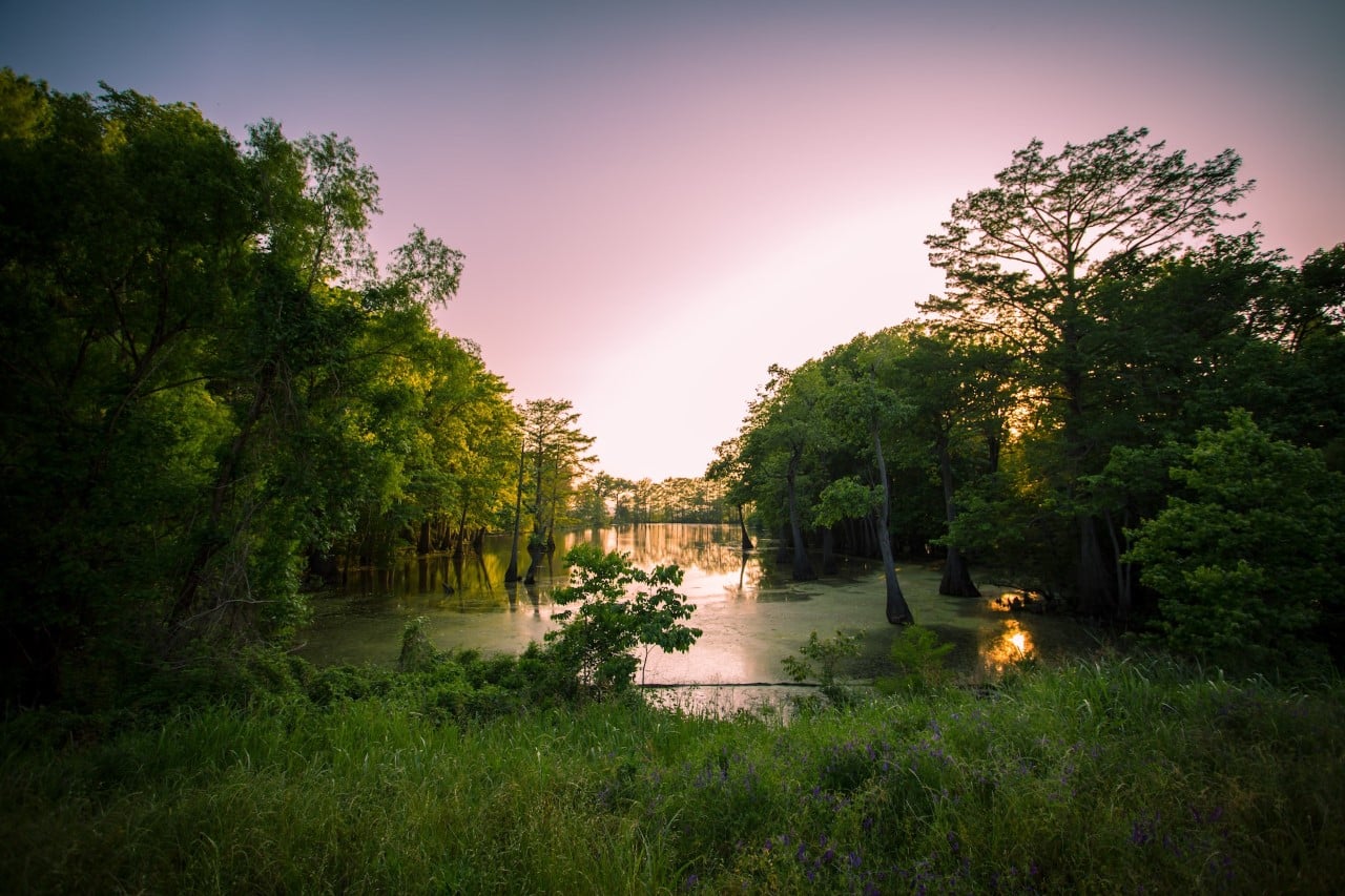thumbnail_Mississippi-Legalizes-Medical-Cannabis-Again thumbnail_Mississippi-Legalizes-Medical-Cannabis-Again